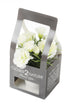 Artificial 15cm White Carnation Plant with Gift Box